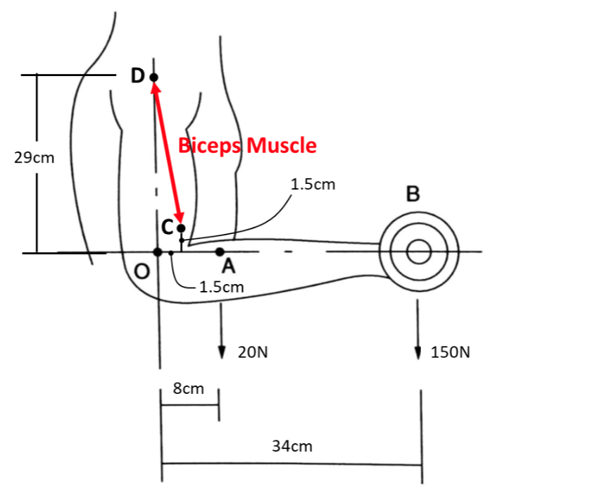 Here is the problem statement: An athlete is