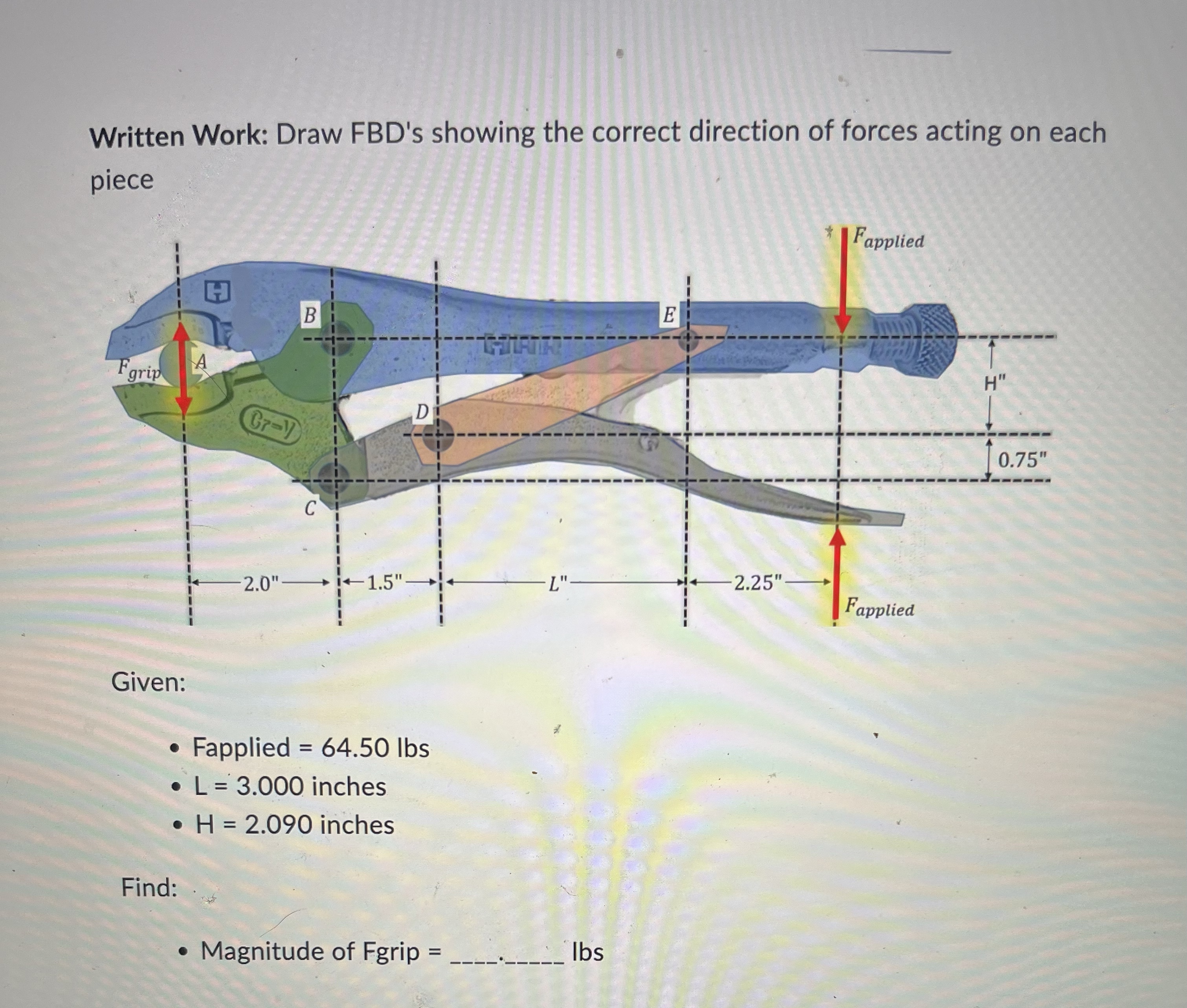Written Work: Draw FBD ' s showing the correct