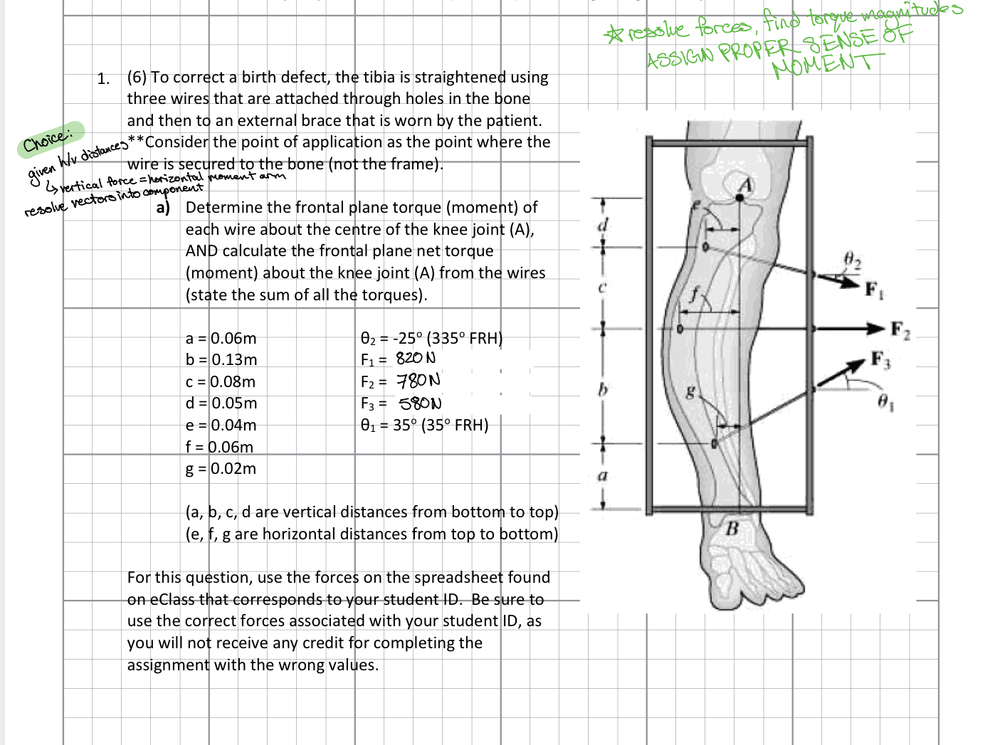 ( 6 ) To correct a birth defect, the tibia is