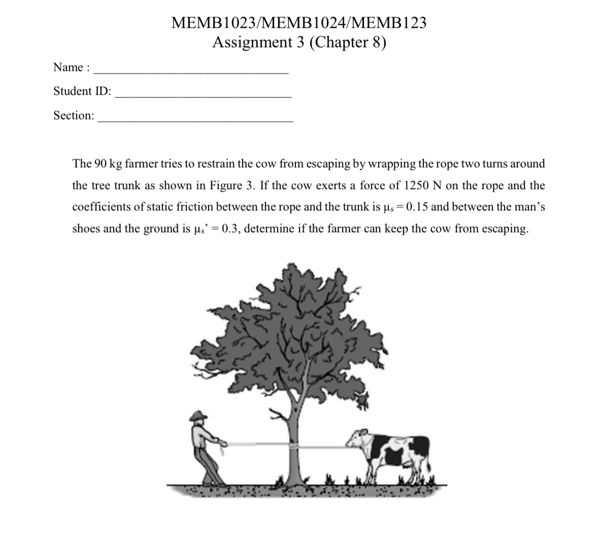 MEMB 1 0 2 3 / MEMB 1 0 2 4 / MEMB 1 2 3