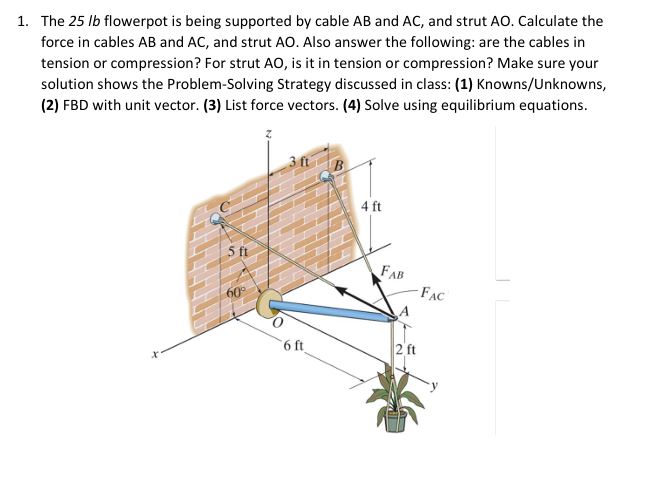 1 . The 2 5 lb flowerpot is being supported by