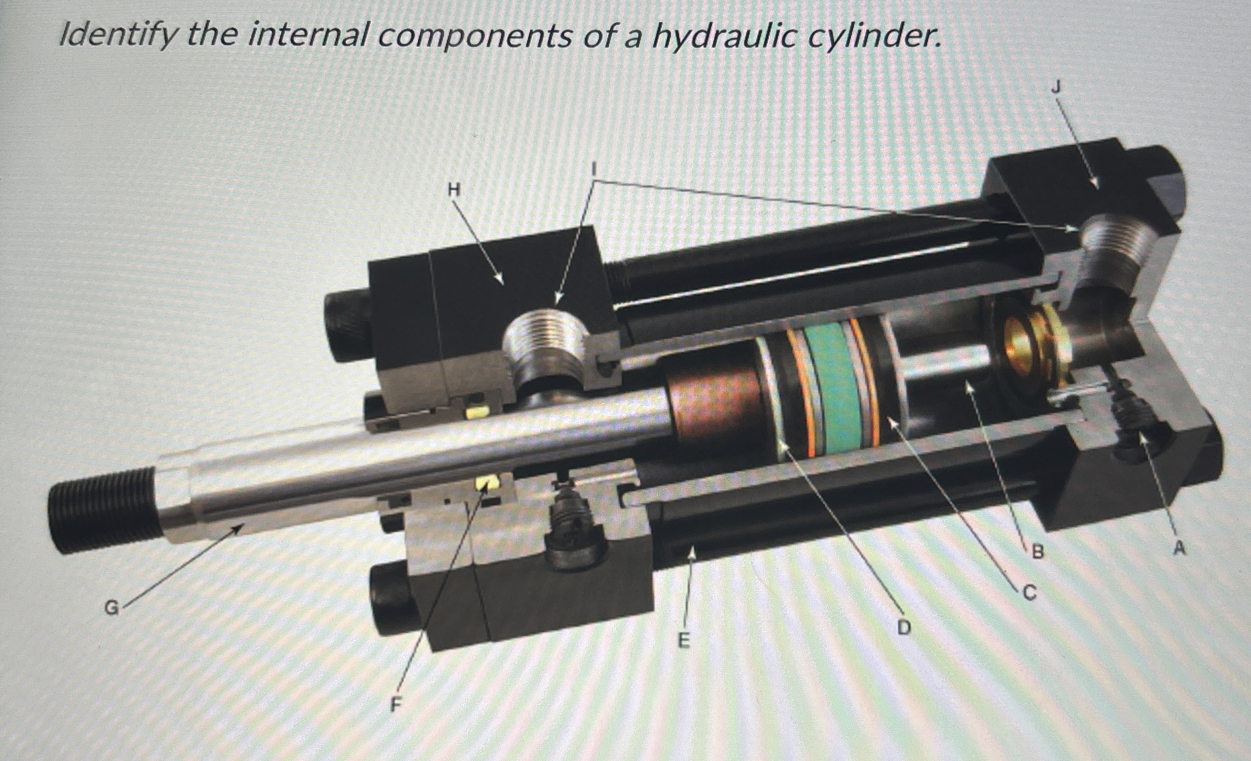 Identify the internal components of a hydraulic
