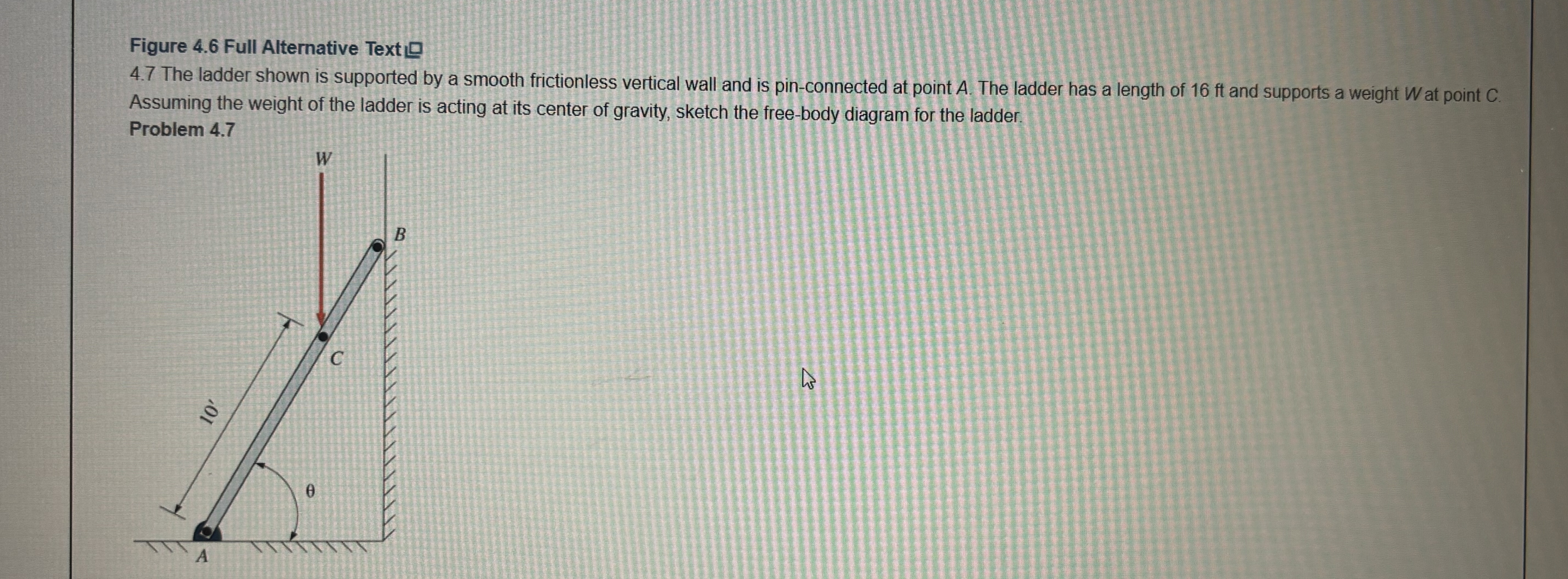 Sketch the free body diagram for the ladder