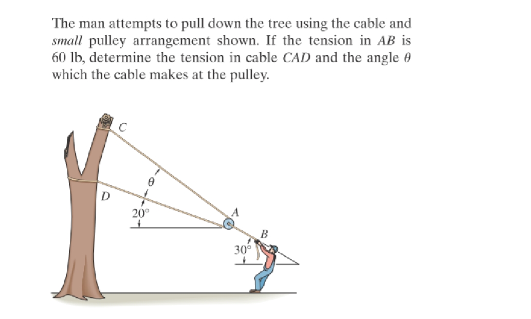 The man attempts to pull down the tree using the