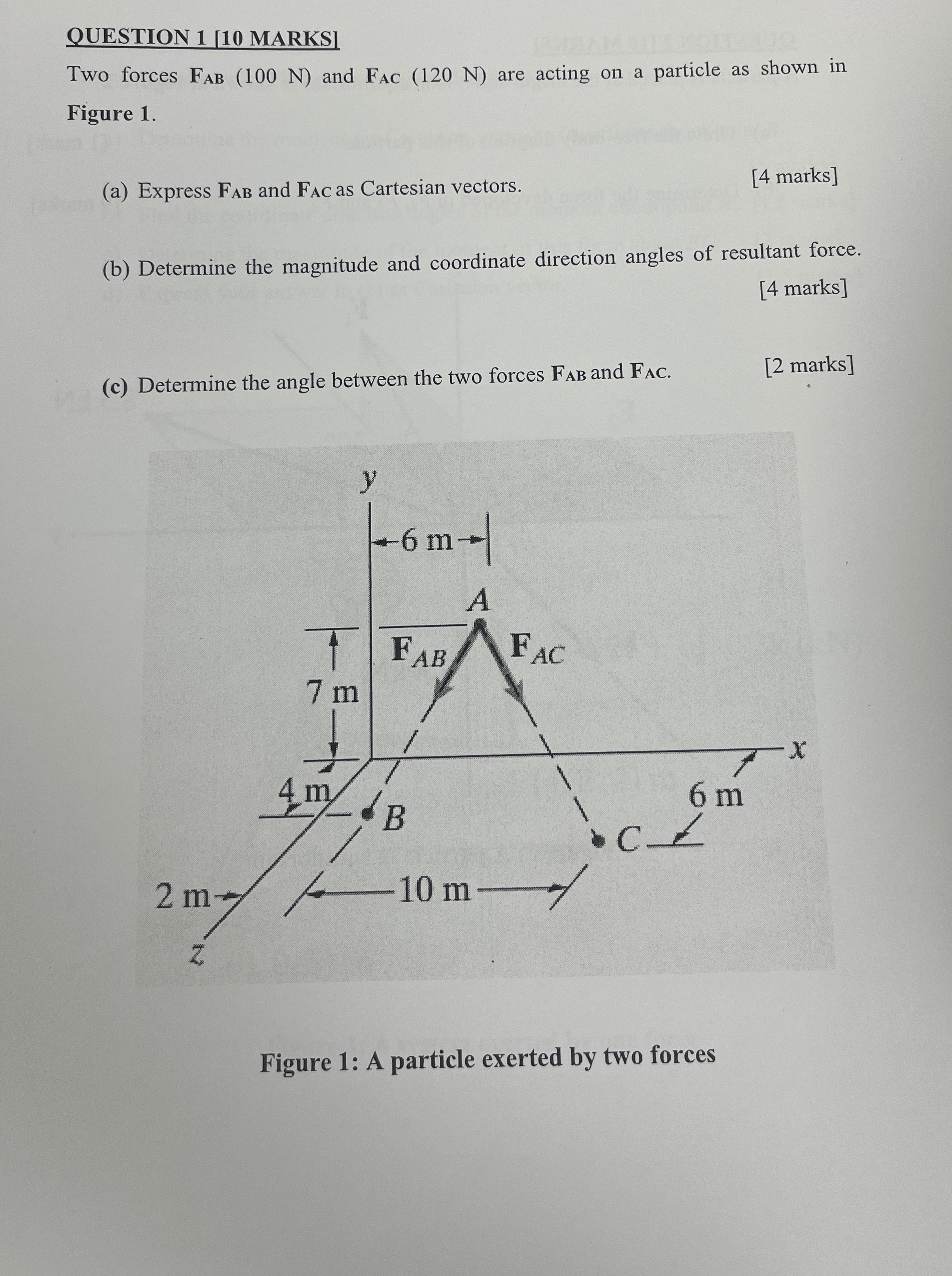QUESTION 1 [ 1 0 MARKS ] Two forces F A B ( 1 0 0