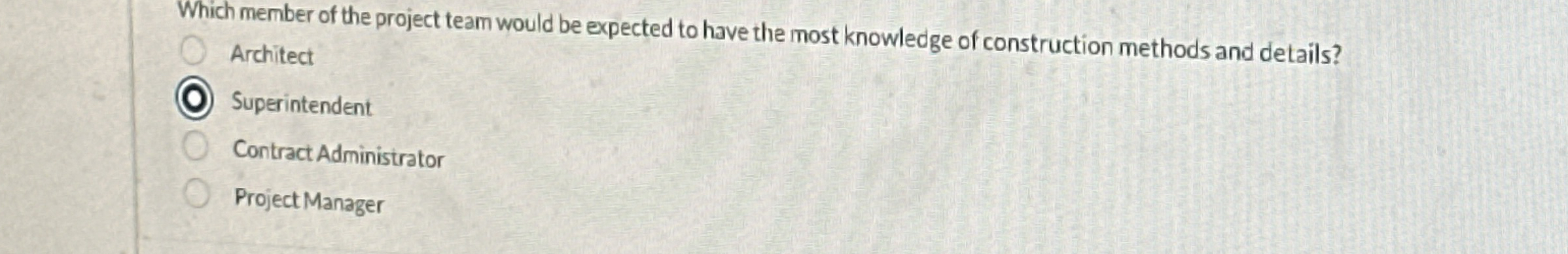 Which member of the project team would be