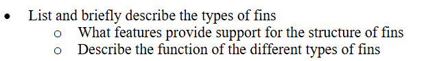 List and briefly describe the types of fins o