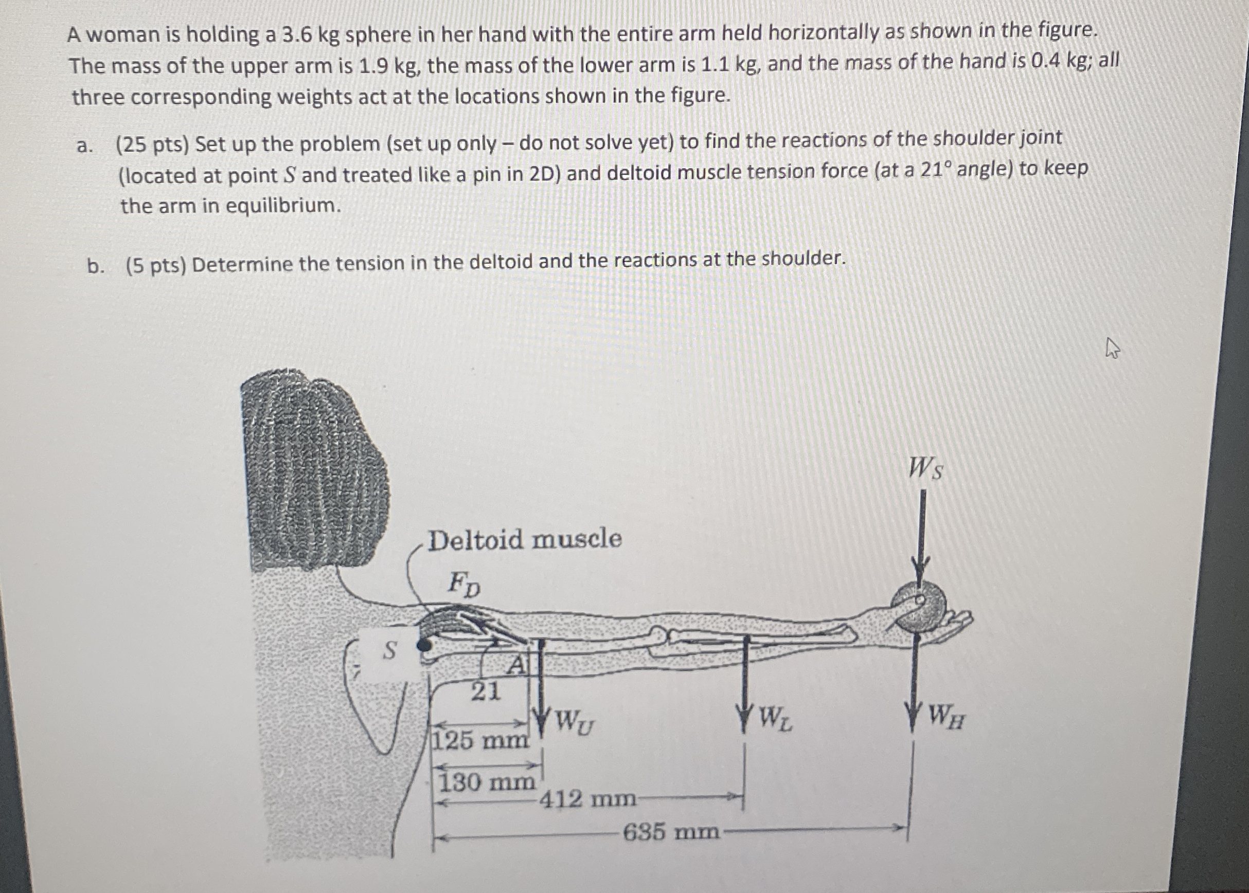 A woman is holding a 3 . 6 kg sphere in her hand