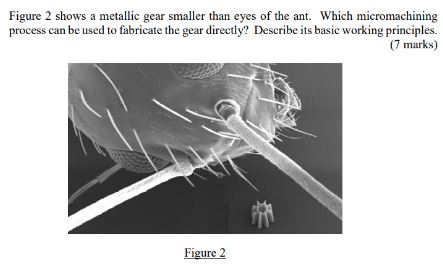 Figure 2 shows a metallic gear smaller than eyes