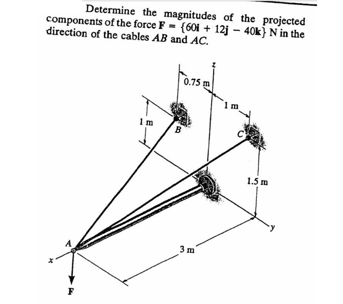 Determine the magnitudes of the projected