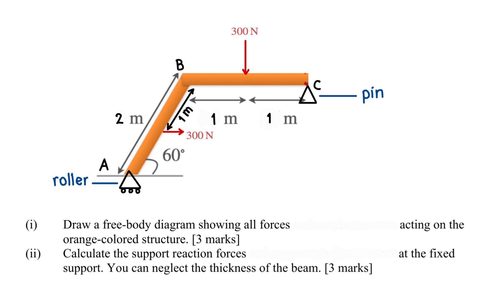 ( i ) Draw a free - body diagram showing all