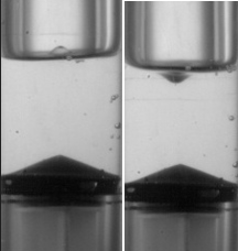 Does surface tension affect the interaction of