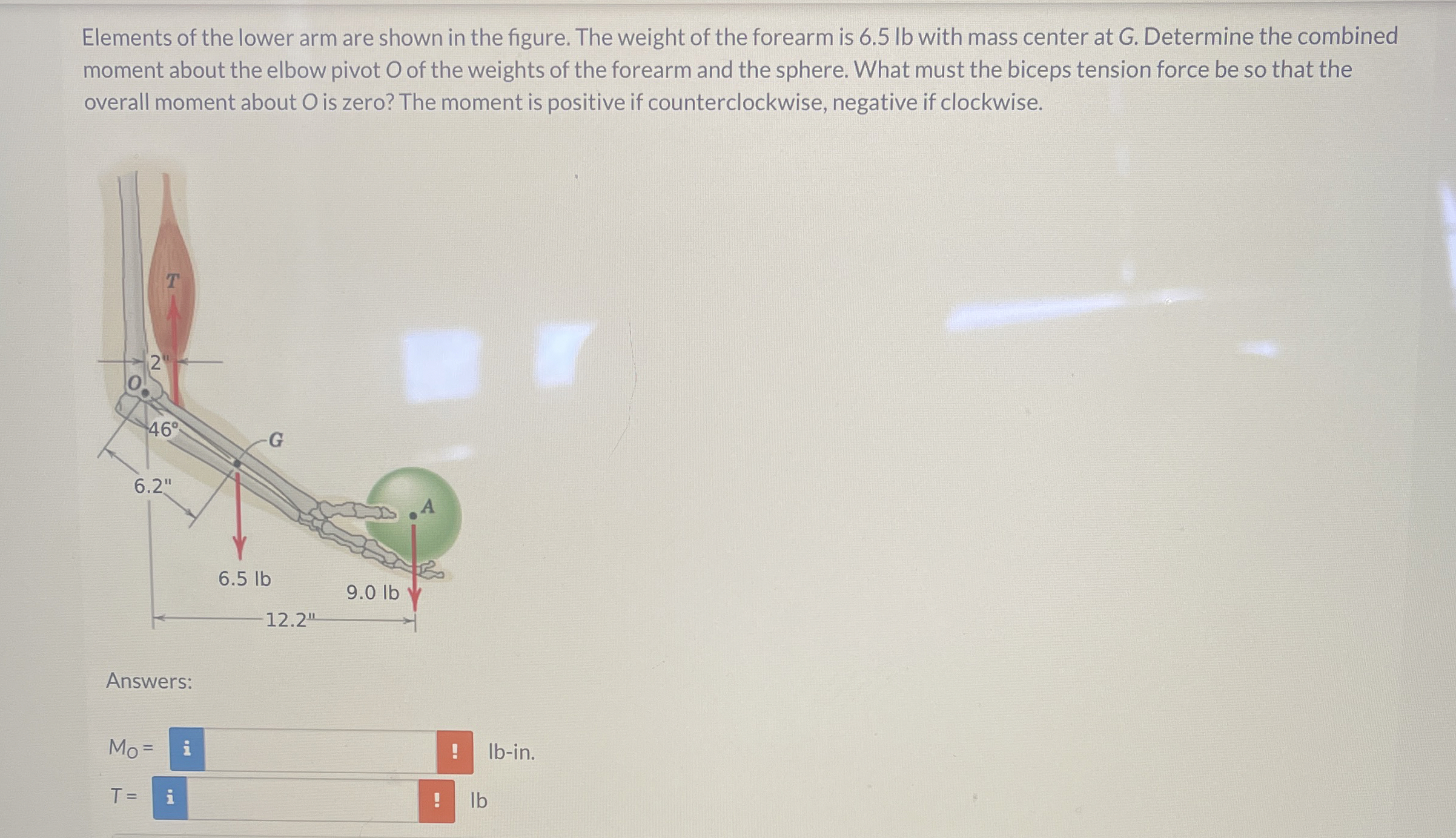 Elements of the lower arm are shown in the