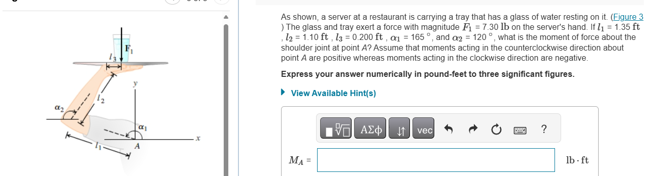 F _ ( 1 ) = 7 . 3 0 lb on the server's hand. If l