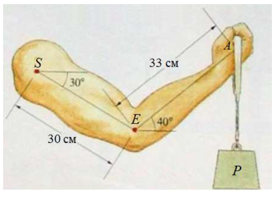 Determine the moment of force ME ( P ) created by