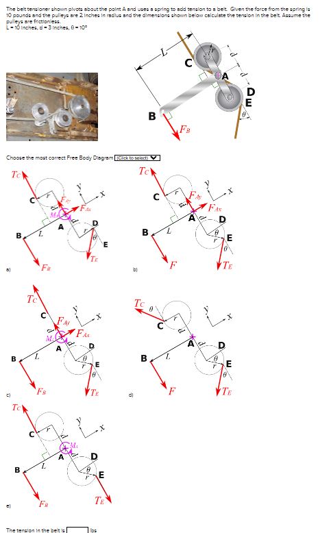 The beit tenaloner shawn pluots about the paint A