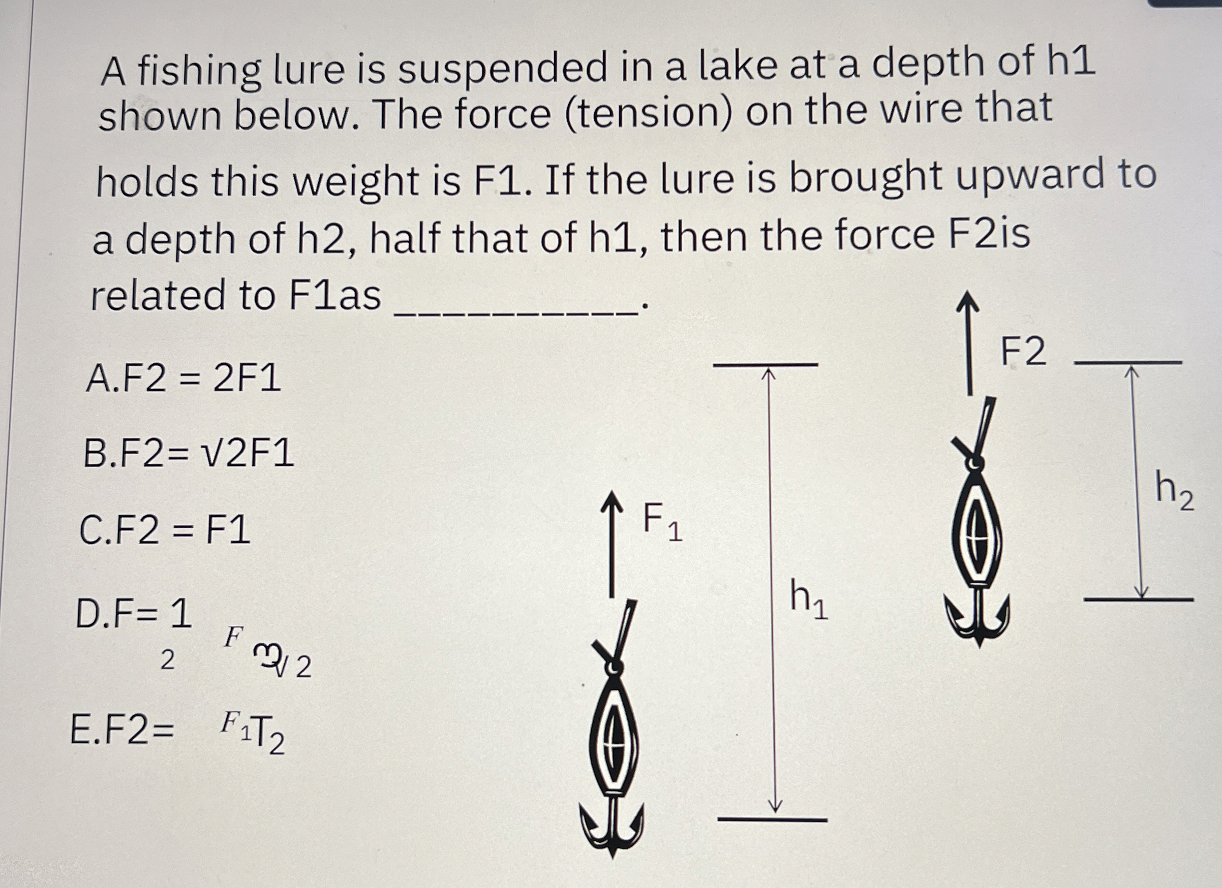 A fishing lure is suspended in a lake at a depth