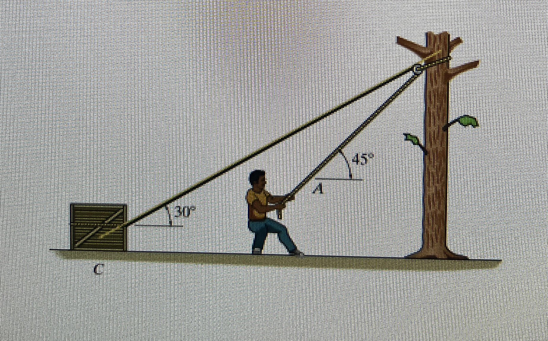 In ( Figure 1 ) , the man has a mass of 9 0 kg