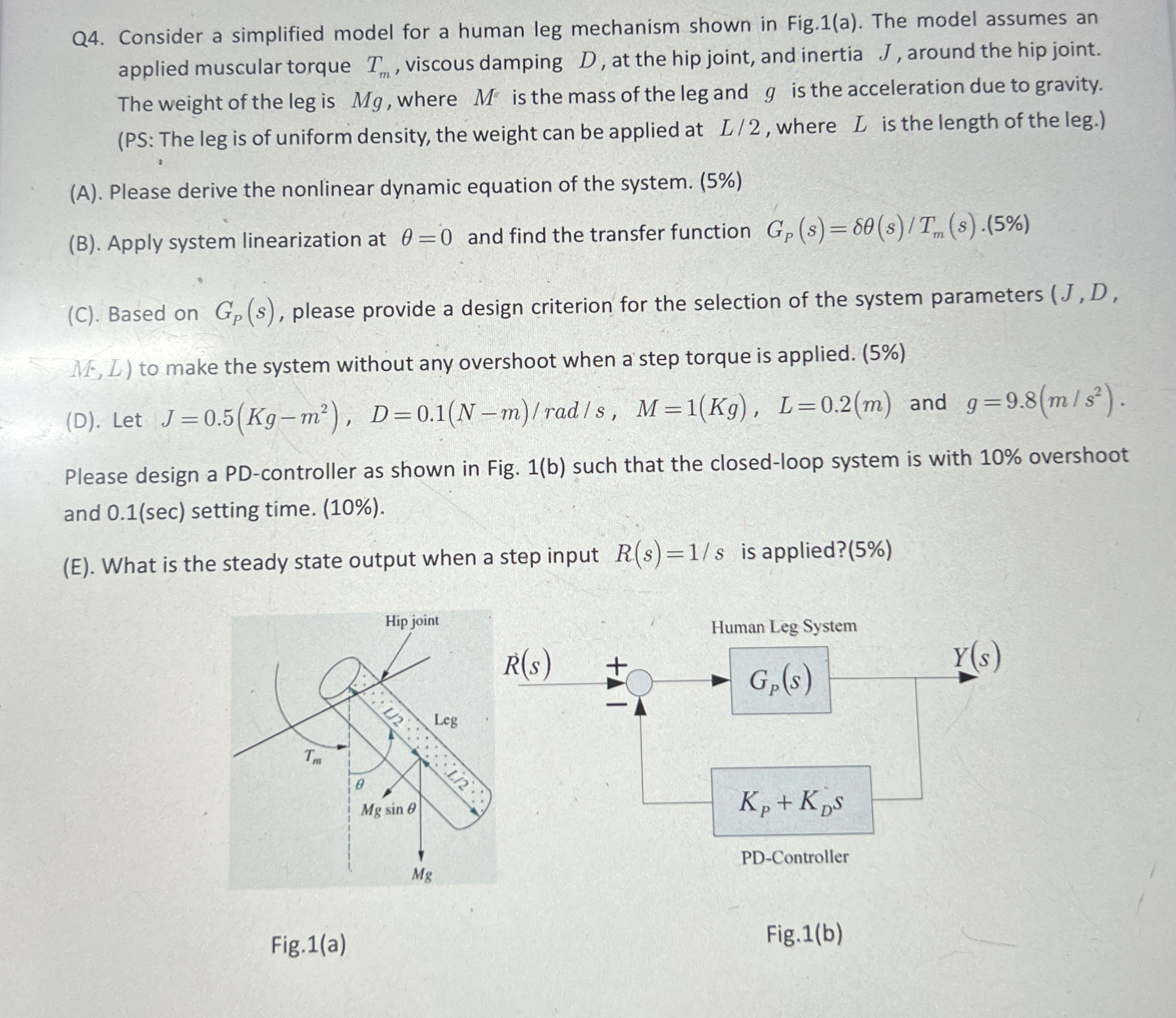 Consider a simplified model for a human leg