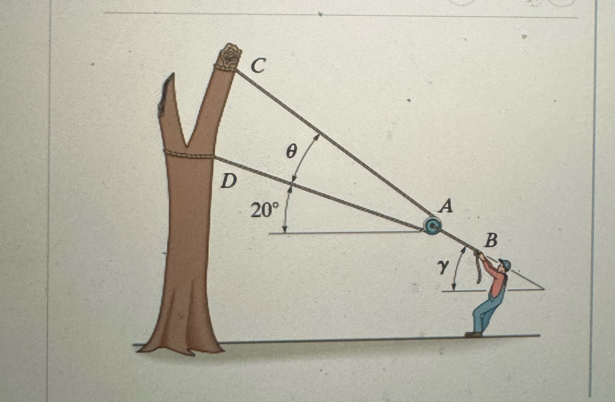 The man attempts to pull down the tree using the