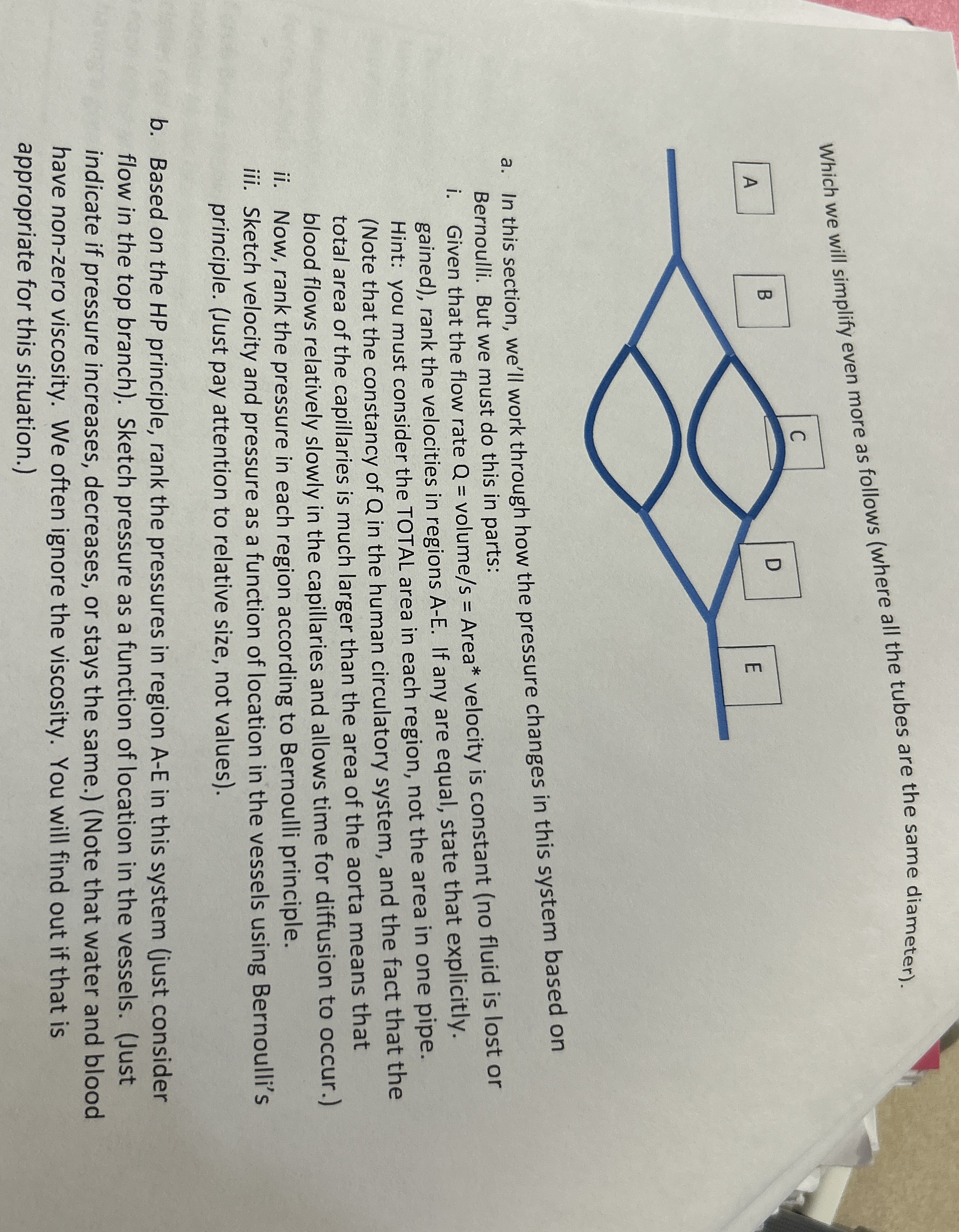 Please only do lart B ! ! ! n this section, we'll