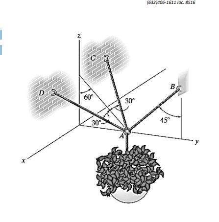 Cables AB , AC , and AD supports the flower vase