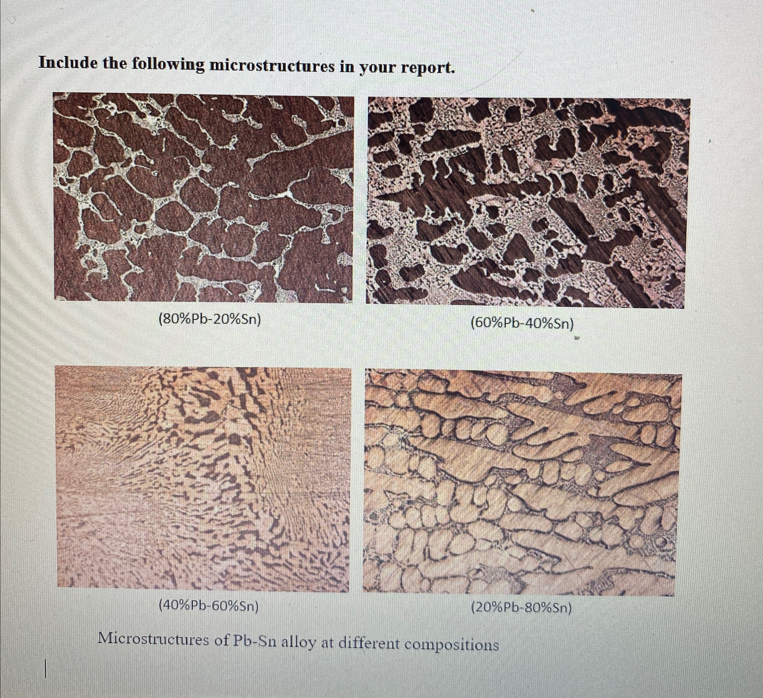 Include the following microstructures in your