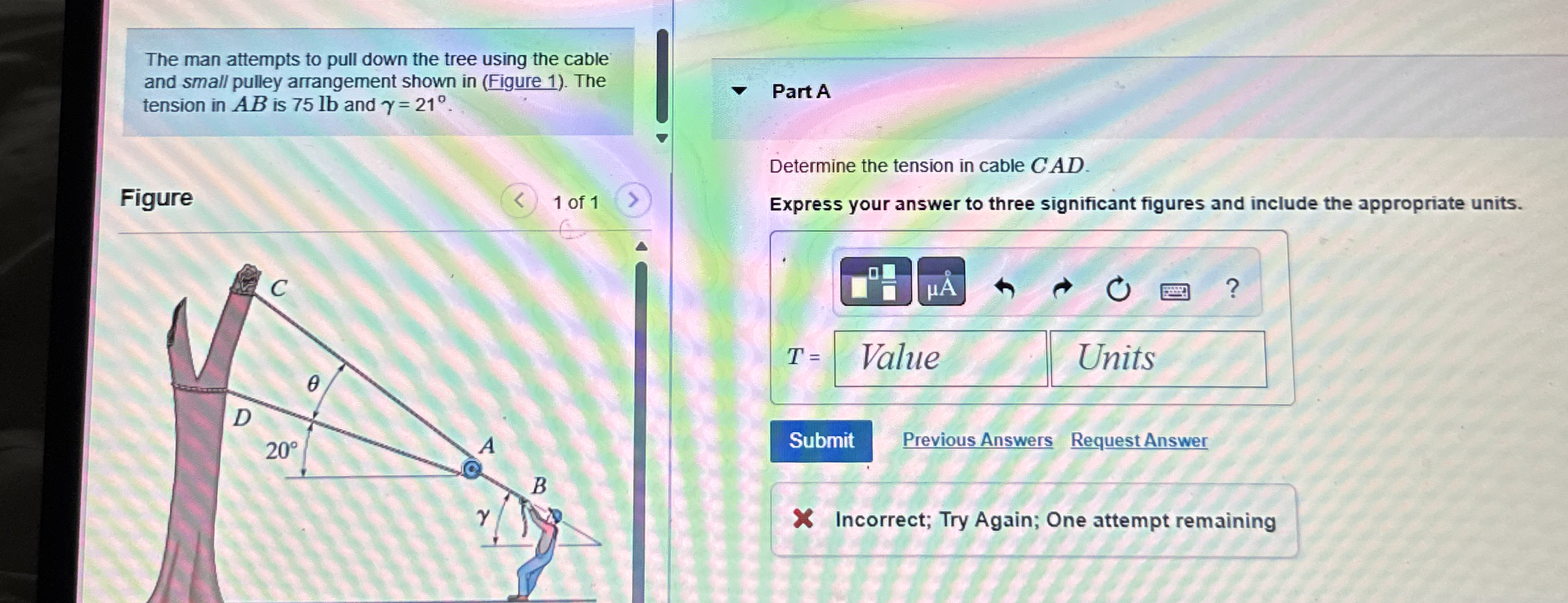 The man attempts to pull down the tree using the