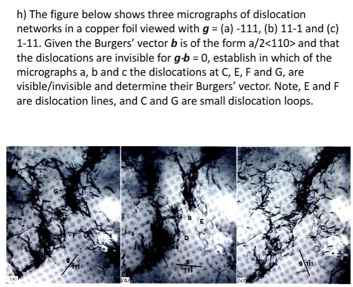 h ) The figure below shows three micrographs of