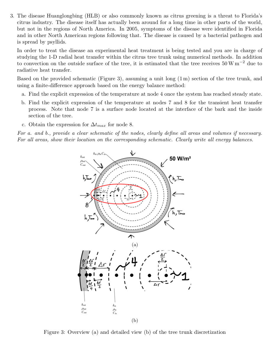 The disease Huanglongbing ( HLB ) or also