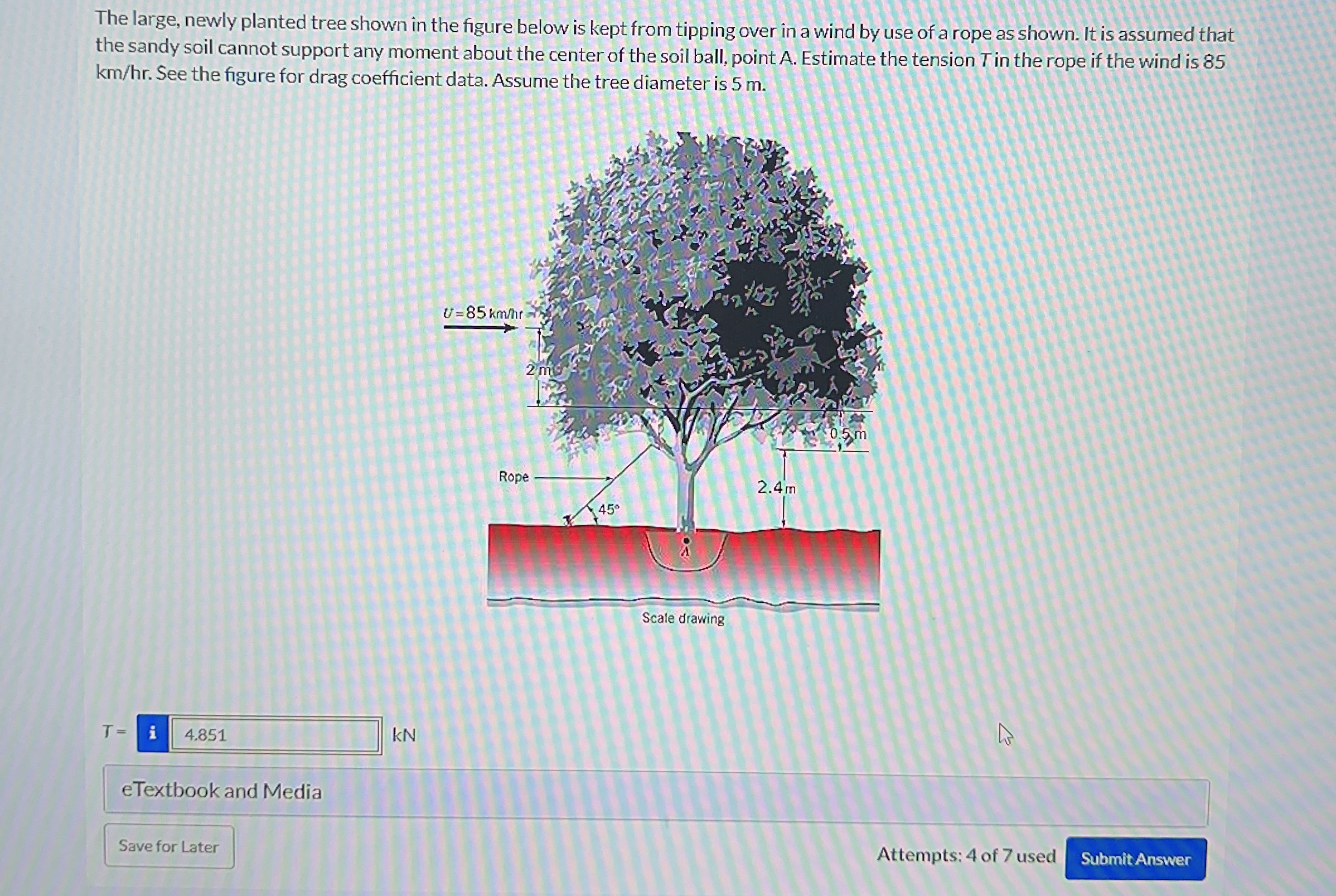 The large, newly planted tree shown in the figure