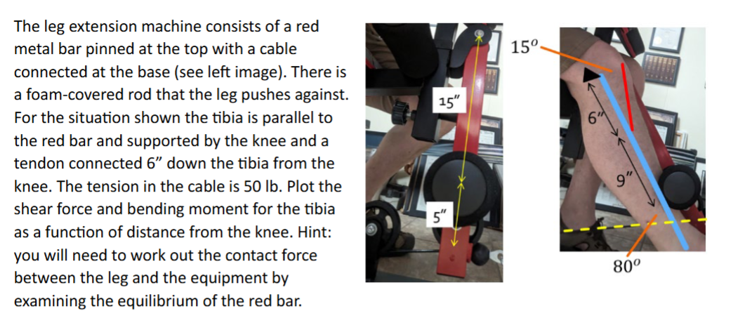 The leg extension machine consists of a red metal
