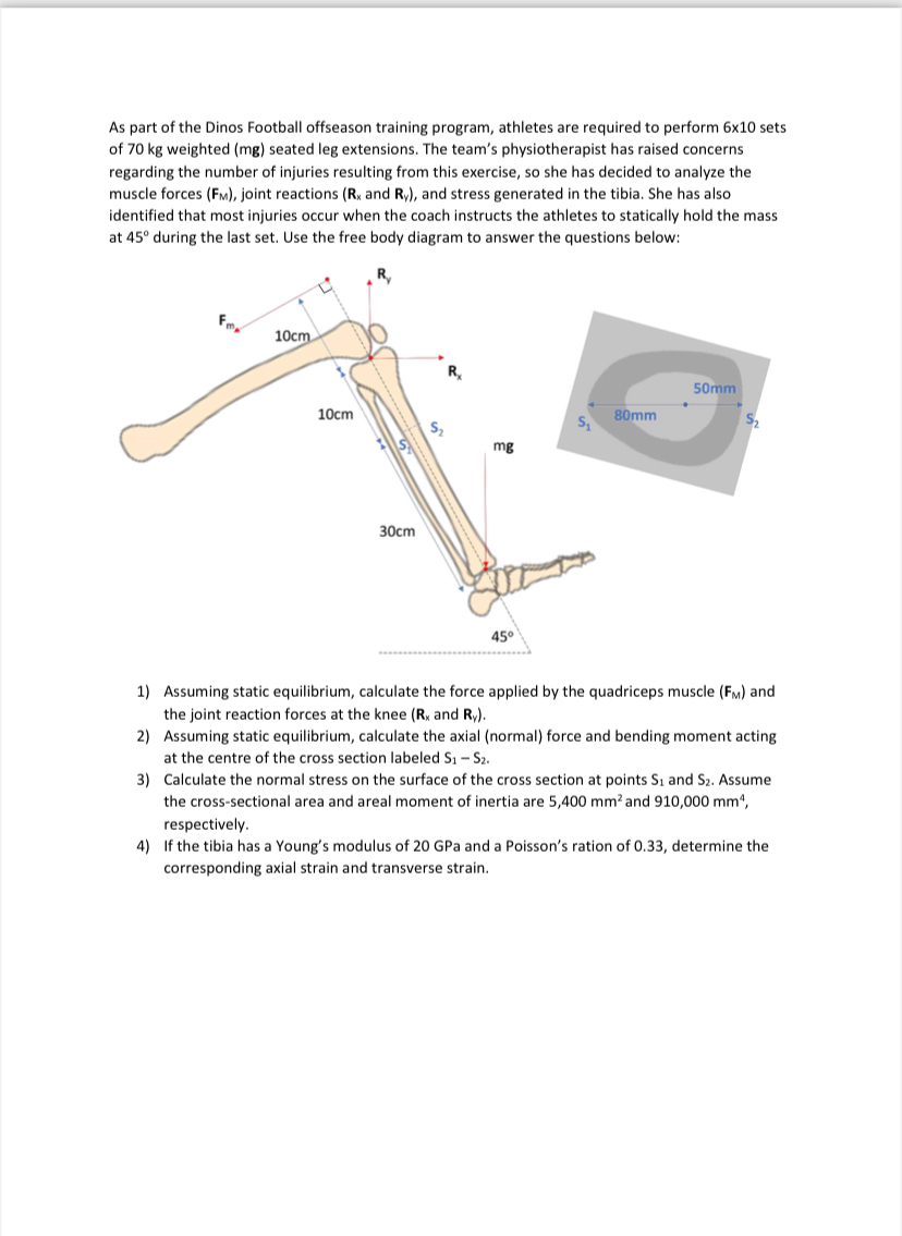 As part of the Dinos Football offseason training