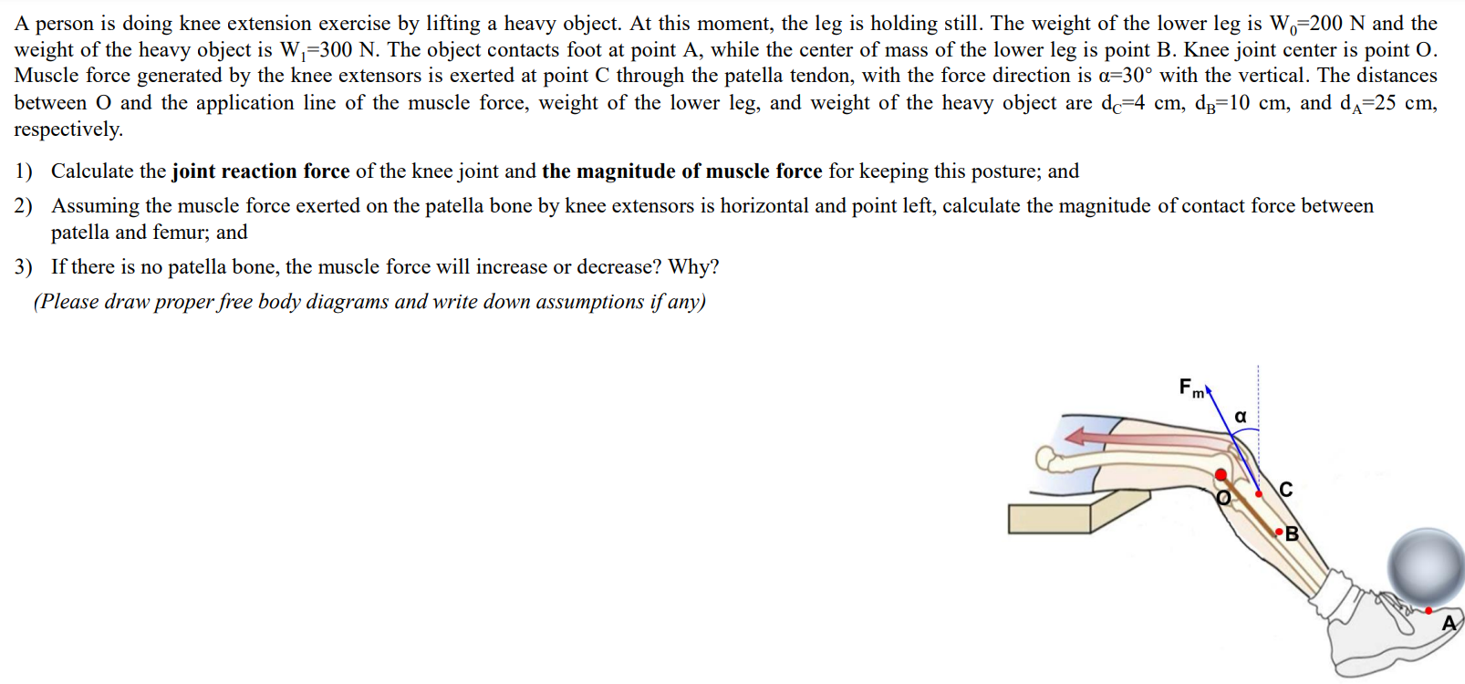 A person is doing knee extension exercise by