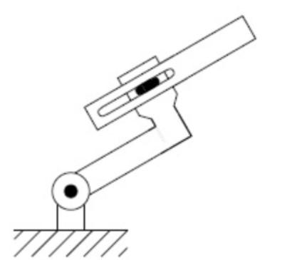 Derive the Euler - Lagrange equations for the