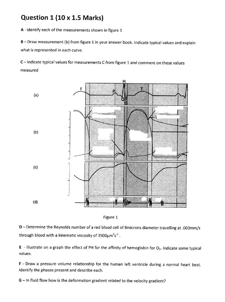 Question 1 ( 1 0 x 1 . 5 Marks ) A - Identify