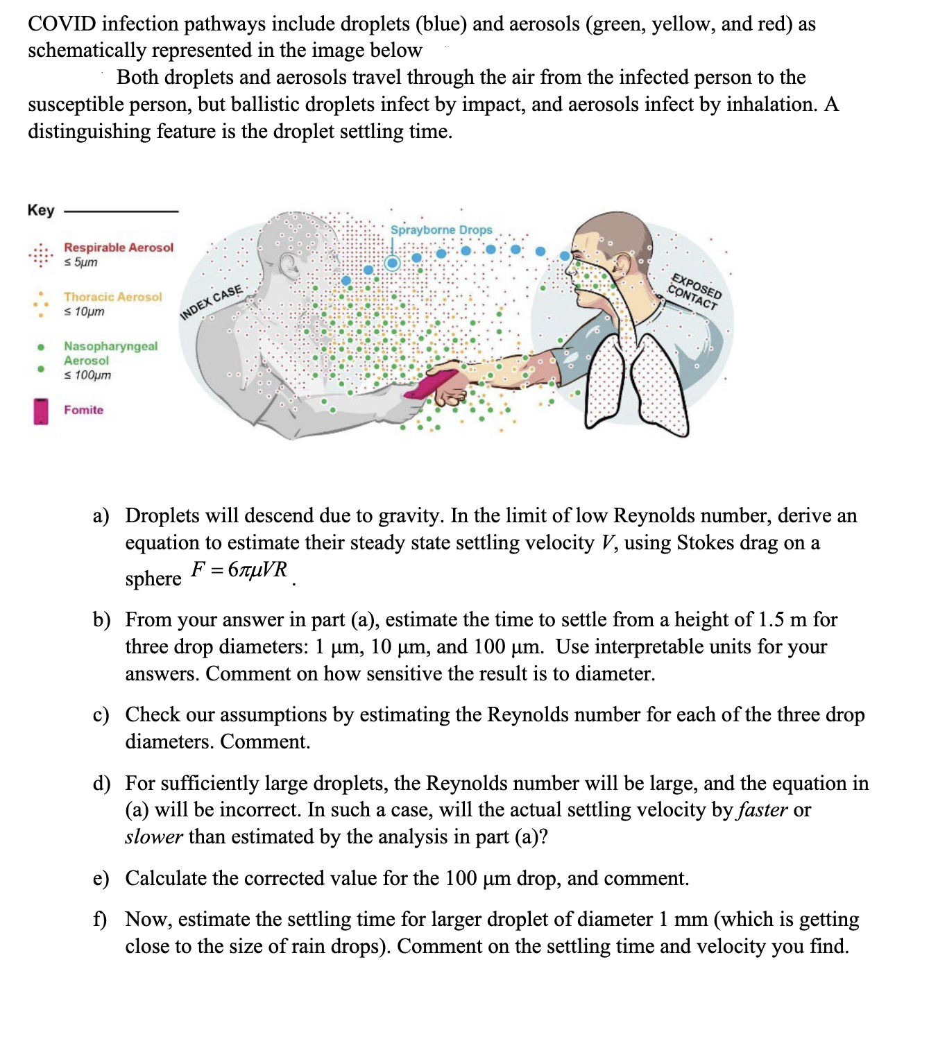 COVID infection pathways include droplets ( blue