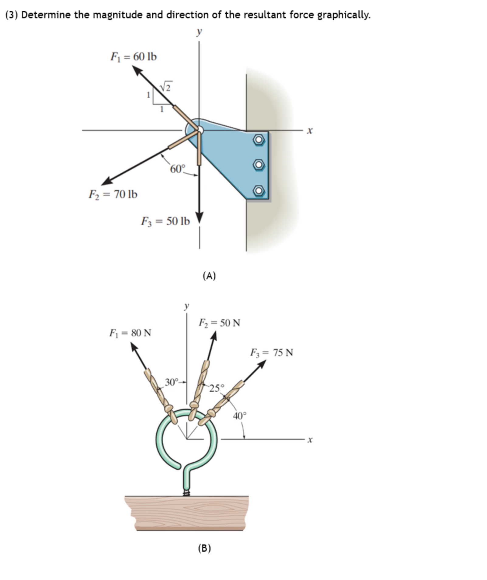 ( 3 ) Determine the magnitude and direction of