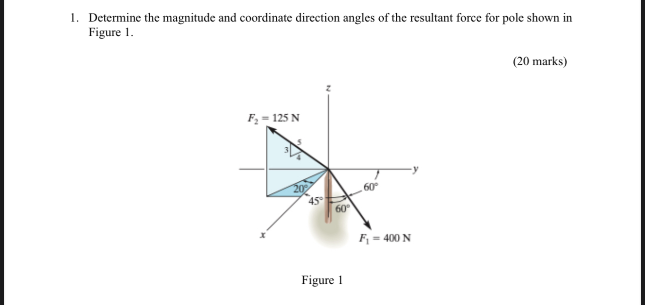 Determine the magnitude and coordinate direction