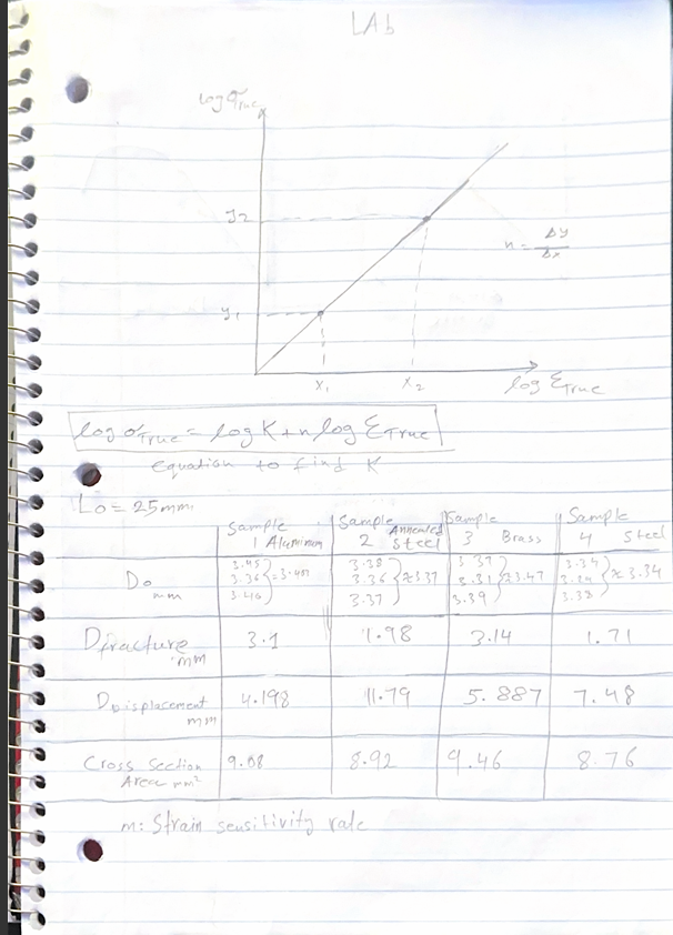 Calculations: ( For all specimens ) Include a