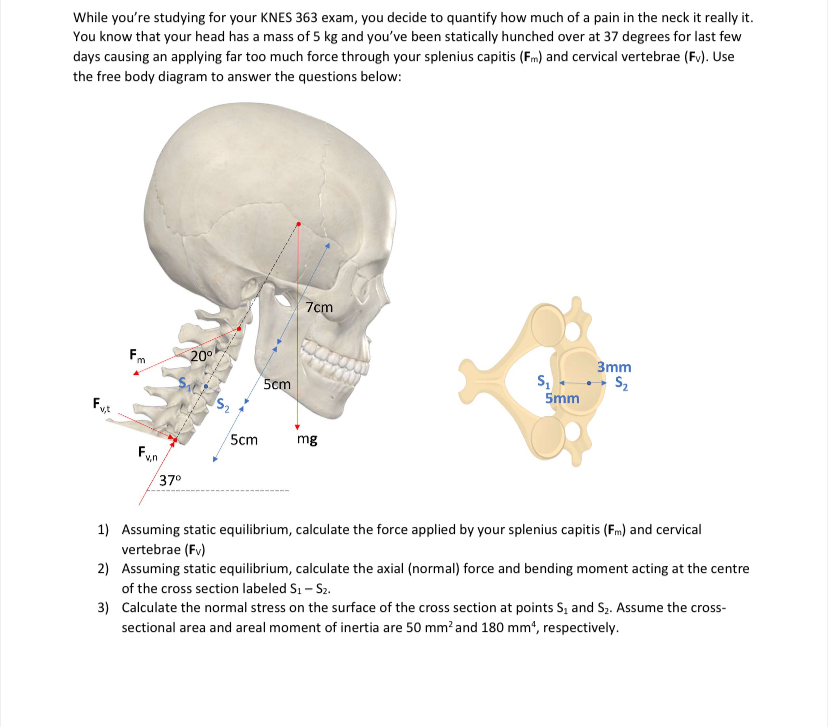 While you're studying for your KNES 3 6 3 exam,