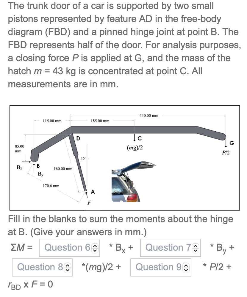 The trunk door of a car is supported by two small