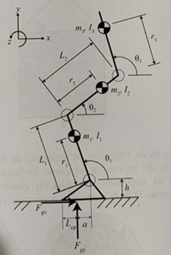 A three - segment planar model of a person going