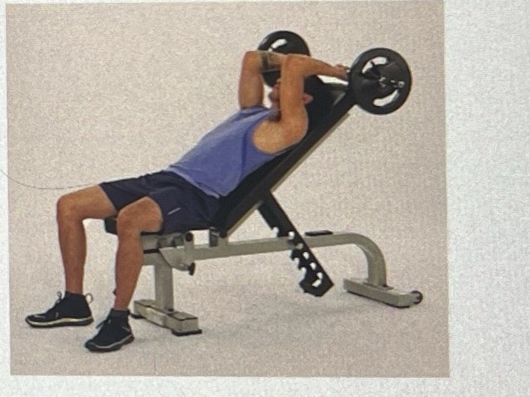 what are the components of a free body diagram