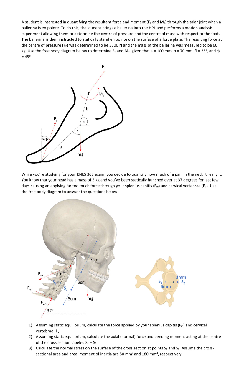 A student is interested in quantifying the