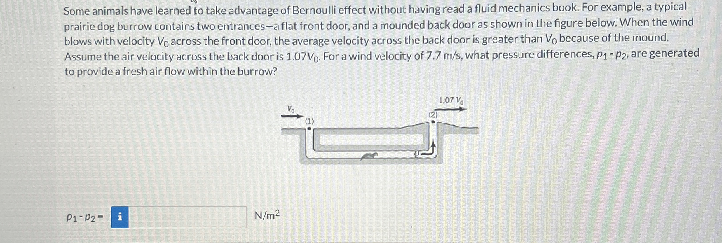 Some animals have learned to take advantage of
