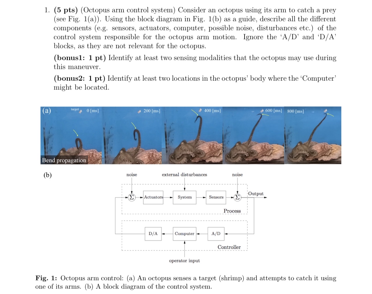 ( 5 pts ) ( Octopus arm control system ) Consider