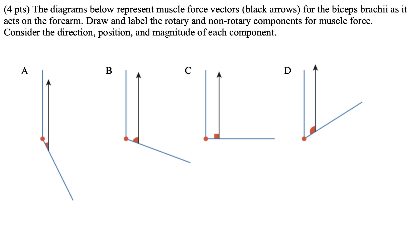 ( 4 pts ) The diagrams below represent muscle