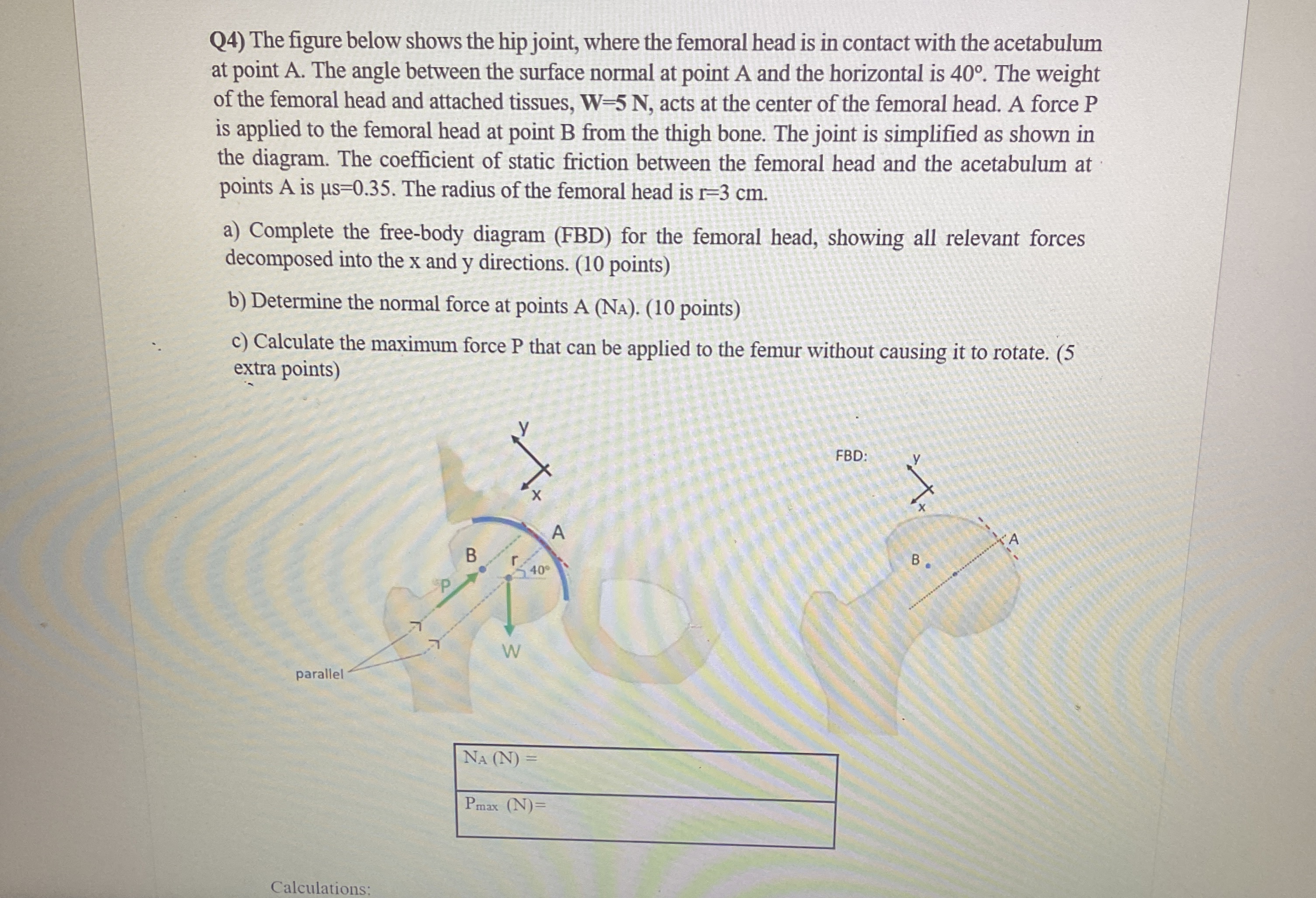 Q 4 ) The figure below shows the hip joint, where