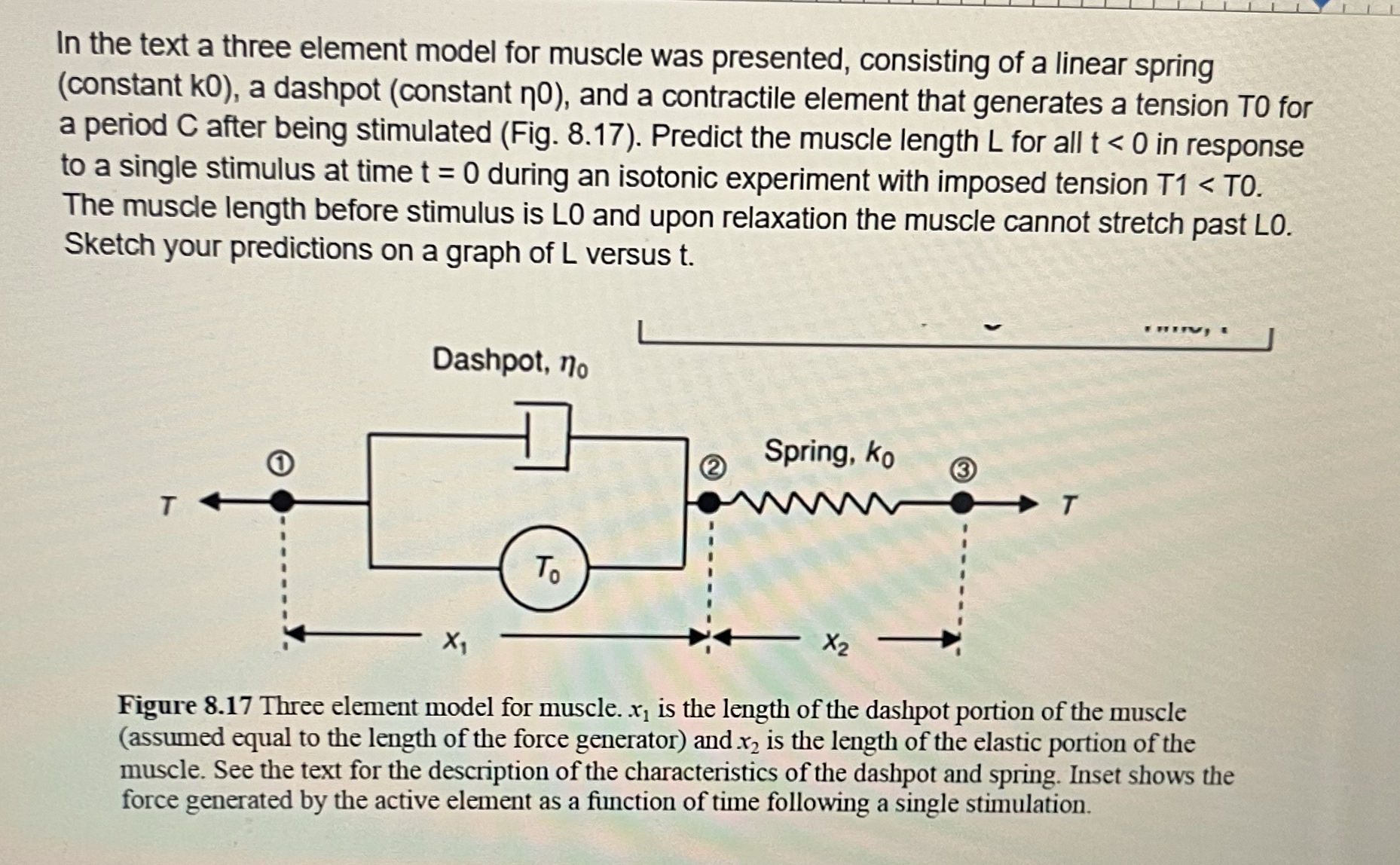 In the text a three element model for muscle was